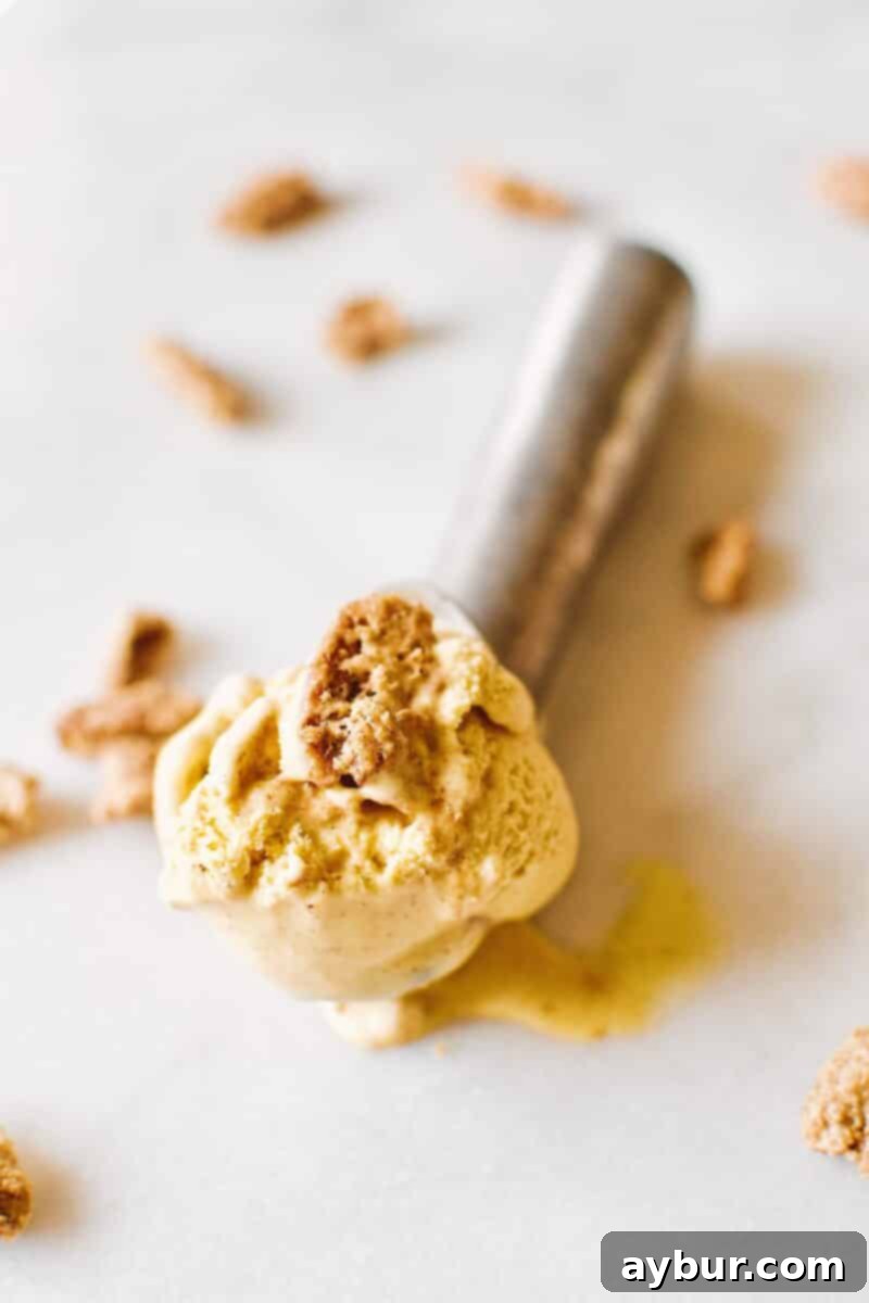 A beautifully scooped single serving of Pumpkin Cardamom Ice Cream, ready to be enjoyed.