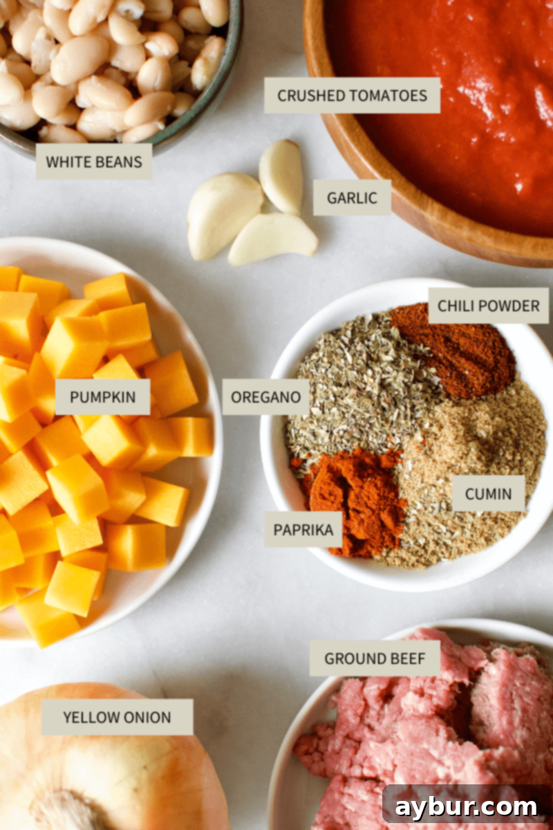 Harvest Pumpkin Chili 3 Ingredients needed to make Pumpkin Chili