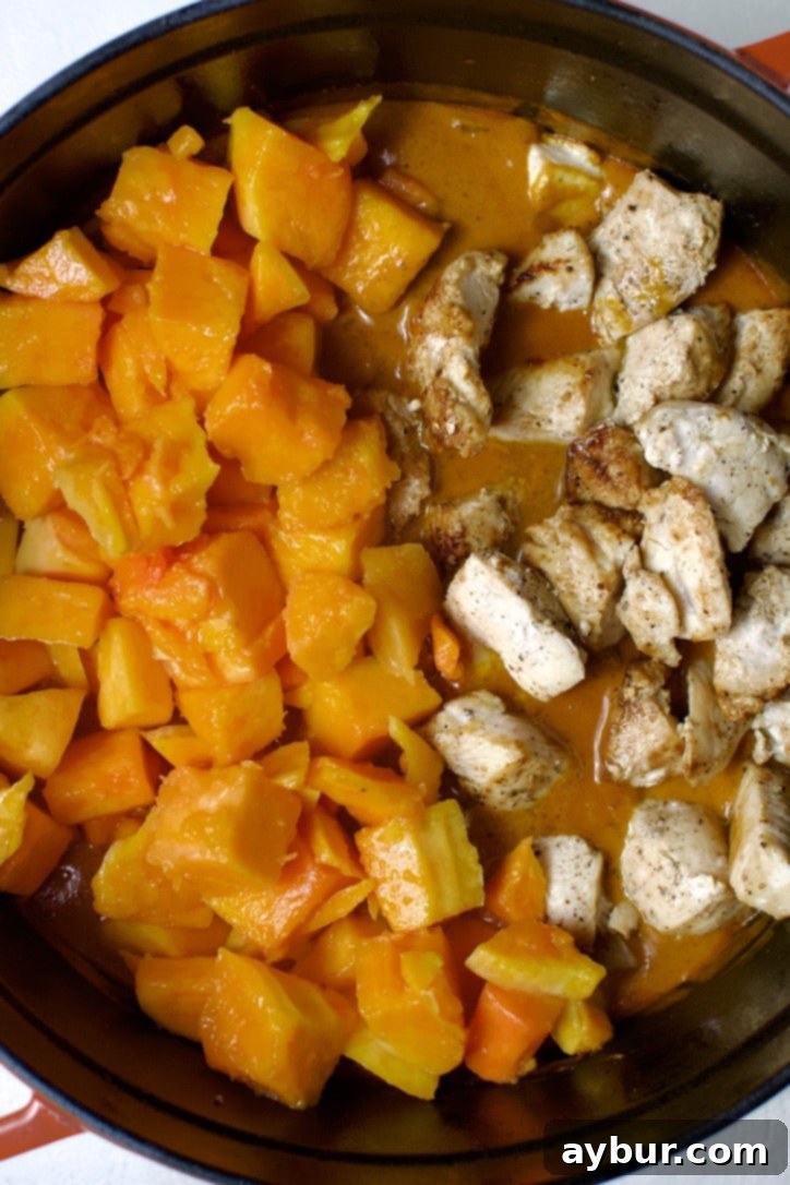 adding the chicken and diced pumpkin to the pot.