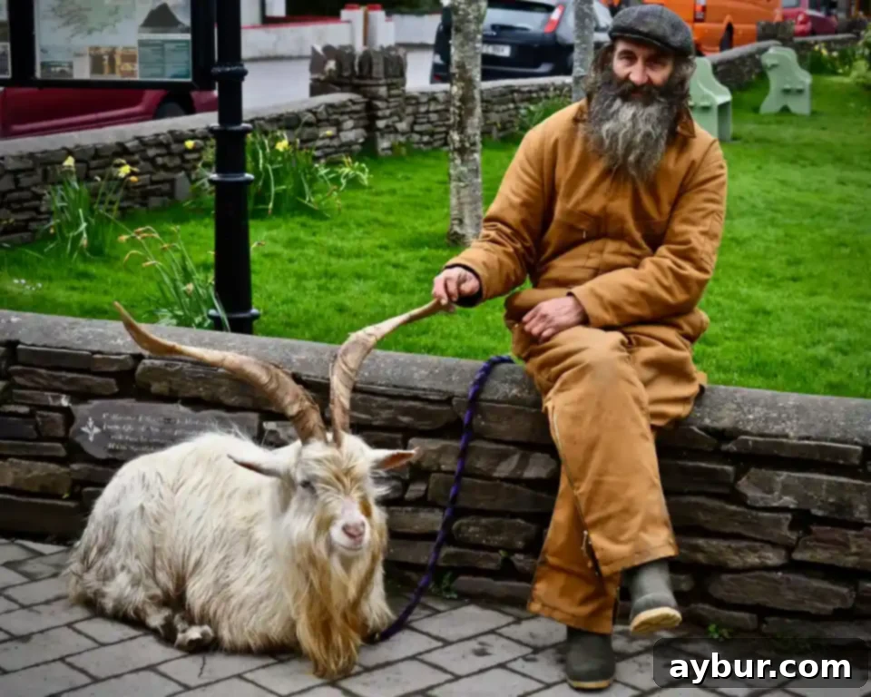 Green Festivities 4 2018's King Puck - A city square along the Ring of Kerry
Photo by KendellKreations