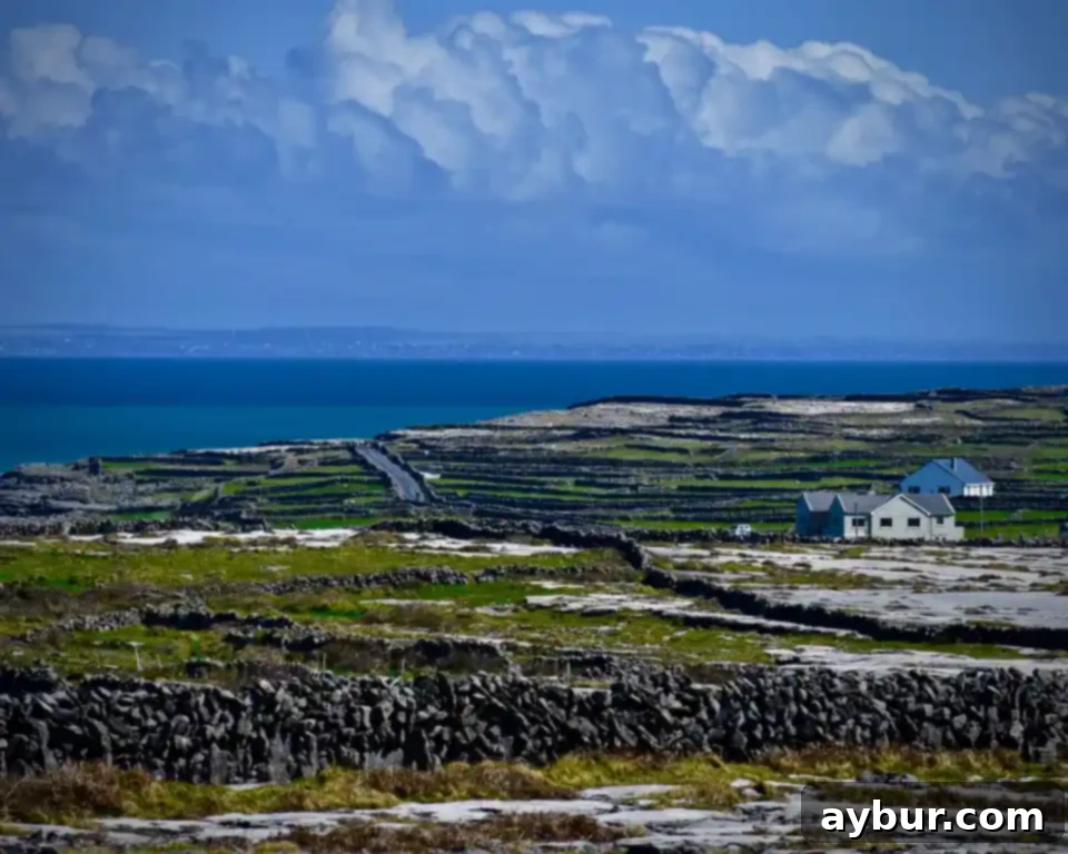 Green Festivities 5 Some of the 3,000 miles of stone walls on Inis Mór, Aran Islands
Photo by KendellKreations