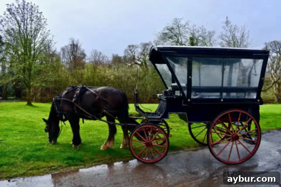 Green Festivities 7 Jaunting Cart in Killarney, Ireland
Photo by KendellKreations