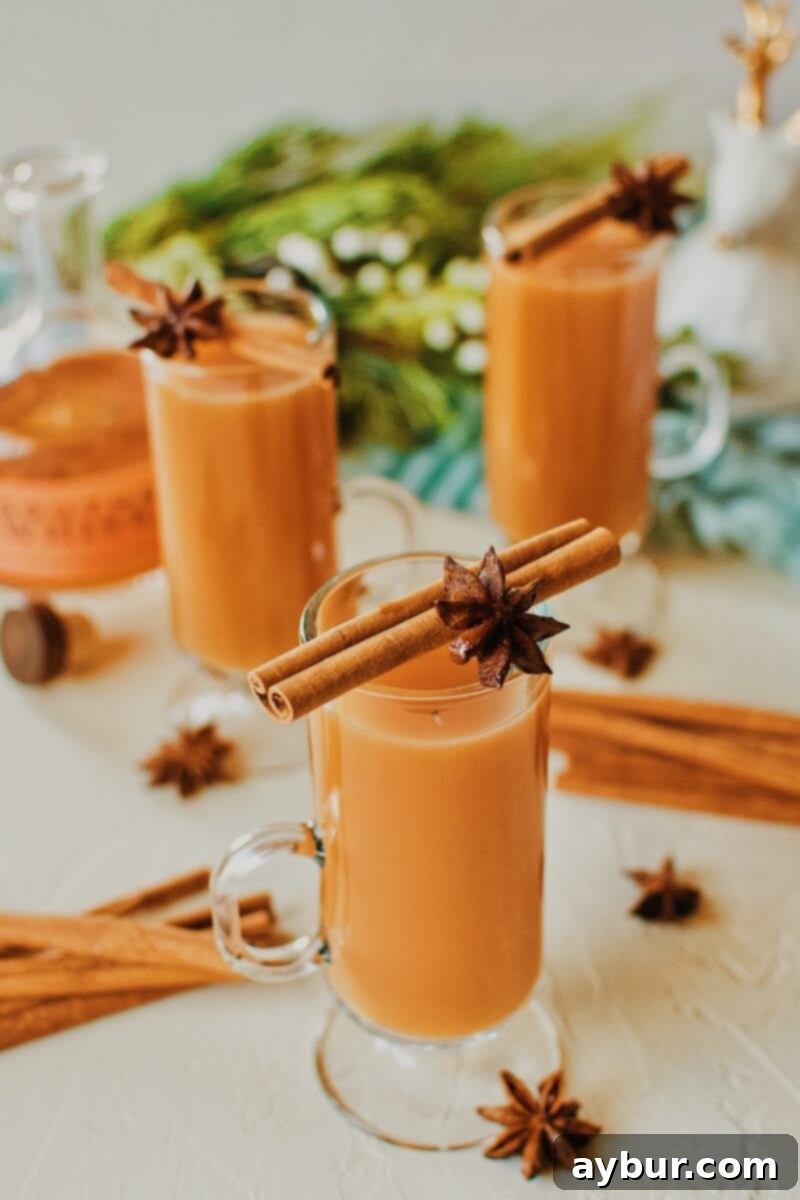 Fireside Whiskey Wassail 4 3 Winter Whiskey Wassail garnished with a cinnamon stick and star anise pod.