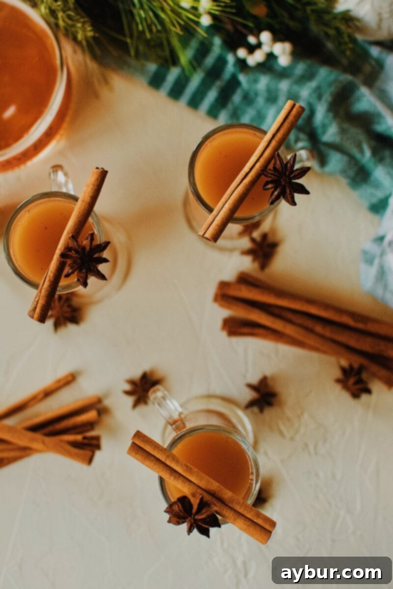 Fireside Whiskey Wassail 7 3 Winter Whiskey Wassail garnished with a cinnamon stick and star anise pod.