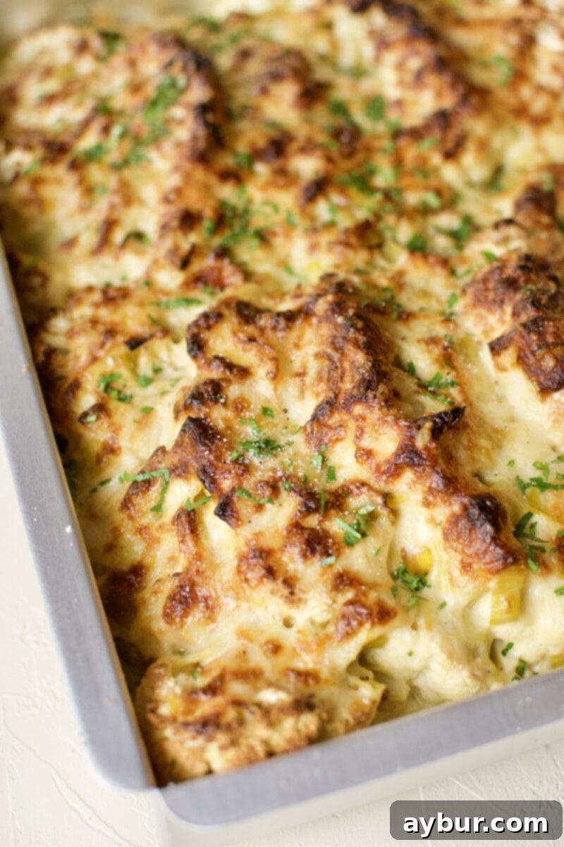 Cheesy Cauliflower and Leek Gratin 11 A close-up shot of the perfectly baked cauliflower and leek gratin.