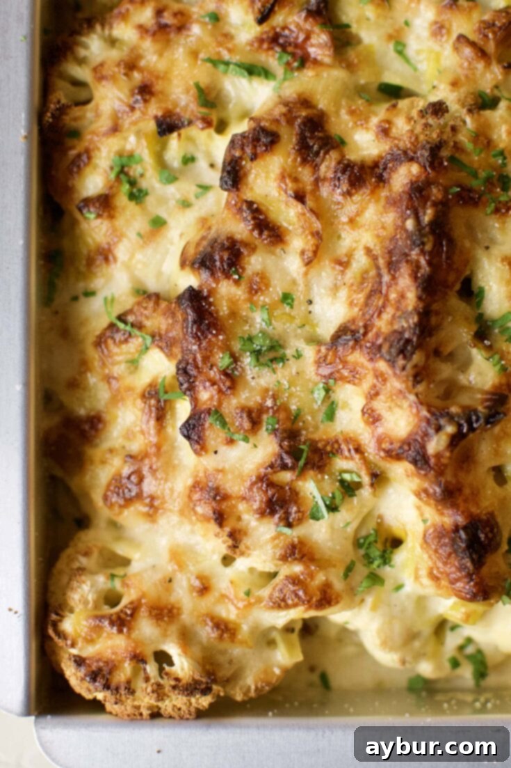 Cheesy Cauliflower and Leek Gratin 13 cauliflower and leek gratin fresh from the oven.