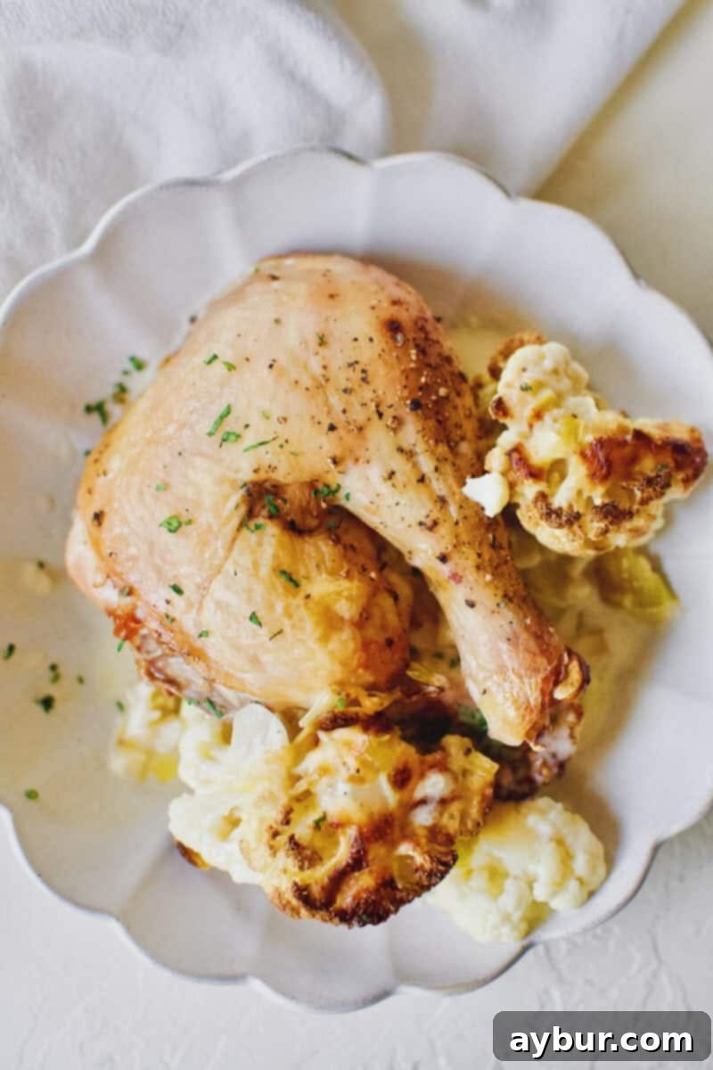 Cheesy Cauliflower and Leek Gratin 15 Cauliflower and leek gratin served with a piece of roast chicken, beautifully plated.