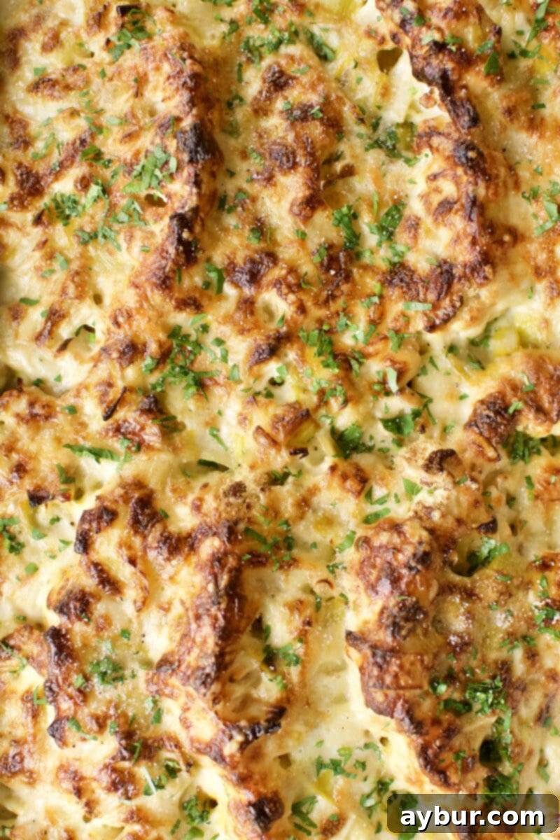 Cheesy Cauliflower and Leek Gratin 10 Cauliflower and leek gratin, fresh from the oven, with a golden-brown cheese crust.