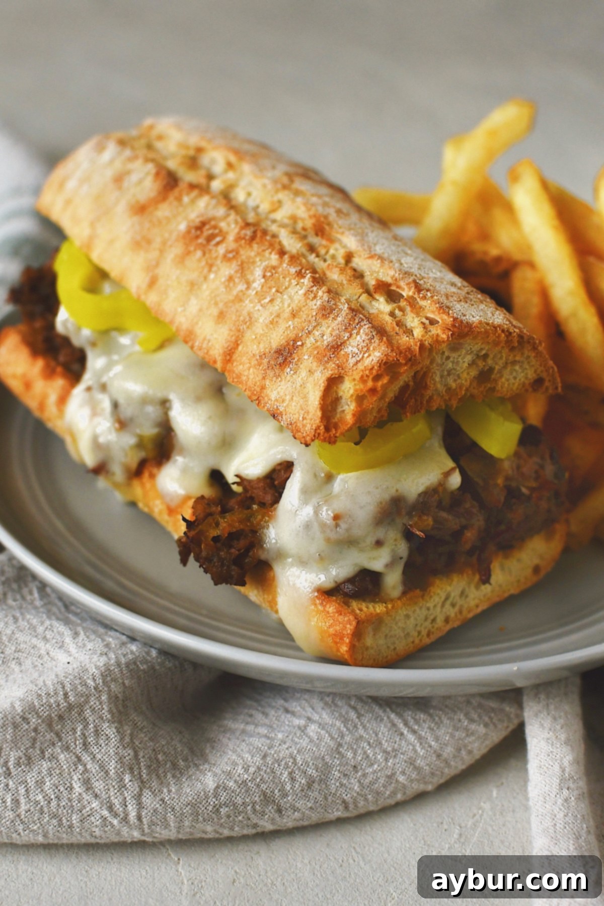 Savory Pot Roast Sandwiches 2 Looking at a side profile of a pot roast sandwich with a side of fries and jus for dipping.