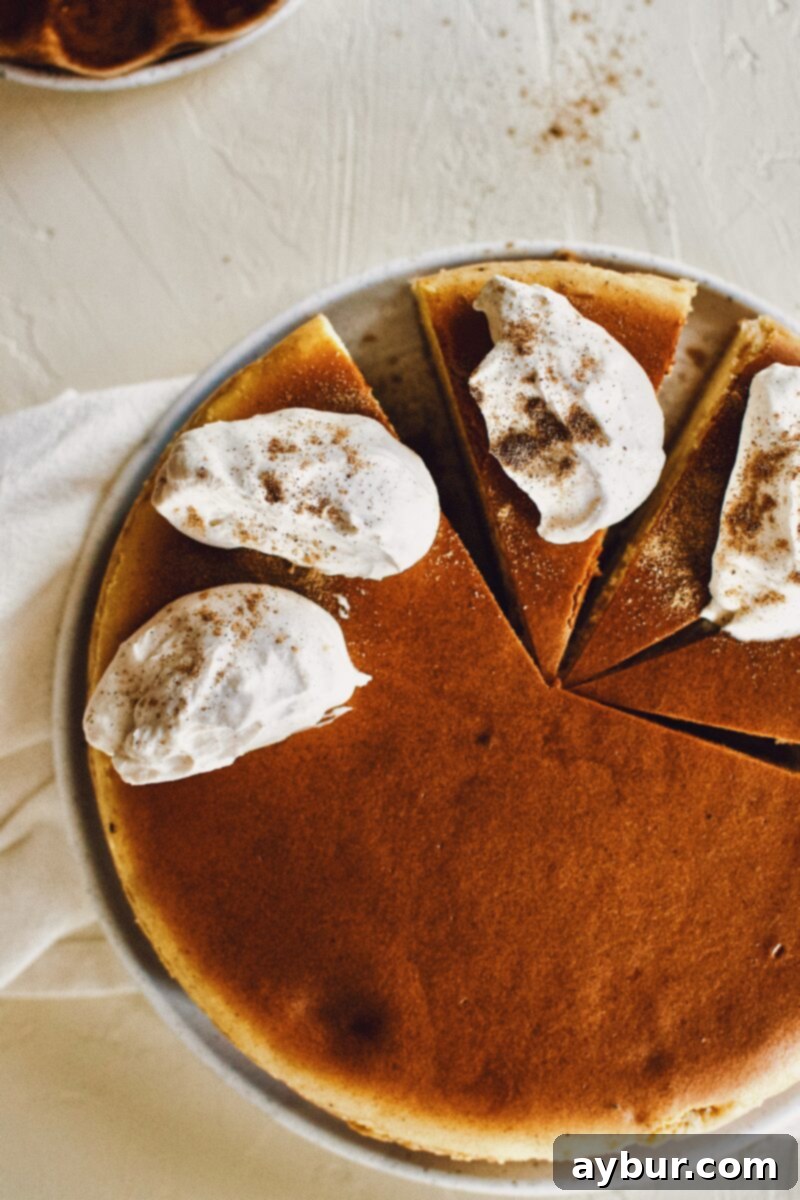 A slice of Chai-Spiced Cheesecake topped with a dollop of Chai-Spiced Whipped Cream, ready for serving.