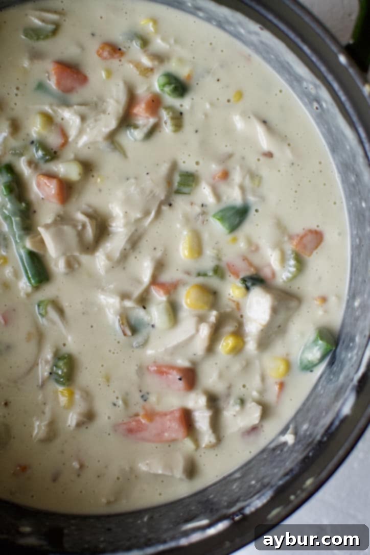 Chicken and frozen veggies stirred into the chicken pot pie filling.