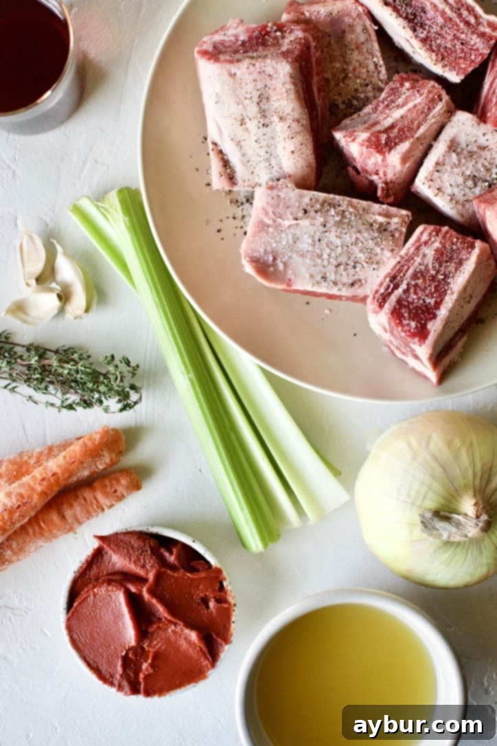 Short Ribs on a plate seasoned with salt and pepper. Surrounded by the ingredients needed to braise them.