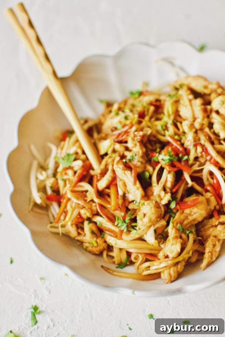 Easy Homemade Lo Mein Just Like Takeout 2 Easy Homemade Lo Mein Chicken Take-out at Home.