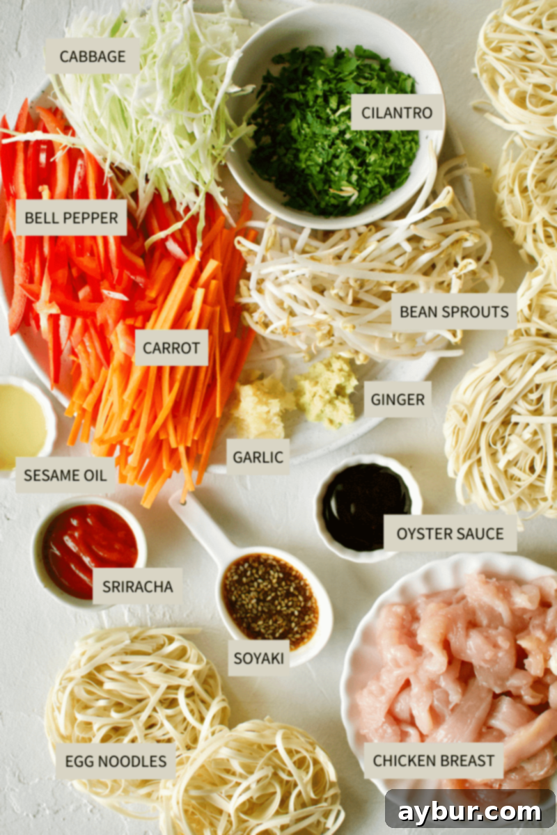 Easy Homemade Lo Mein Just Like Takeout 3 Ingredients needed to make Lo Mein Chicken.