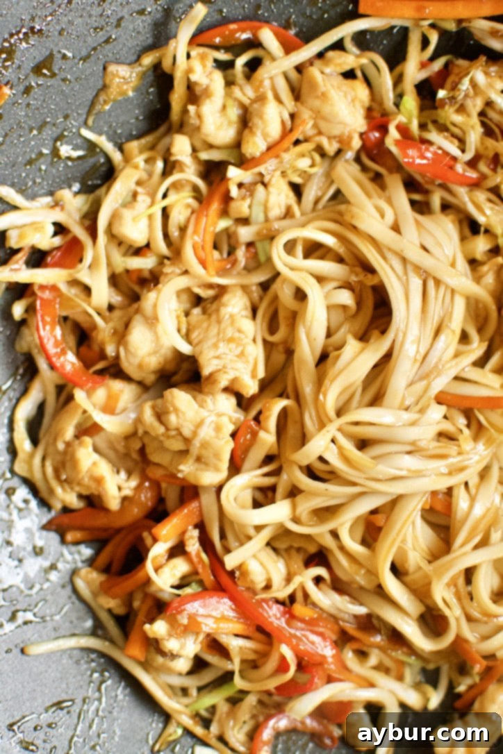 Easy Homemade Lo Mein Just Like Takeout 8 Noodles added to the chicken, veggies, and sauce to complete the dish of Chicken Lo Mein.