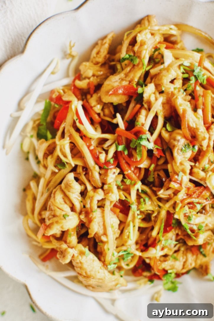 Easy Homemade Lo Mein Just Like Takeout 9 Easy Homemade Lo Mein Chicken Take-out at Home.