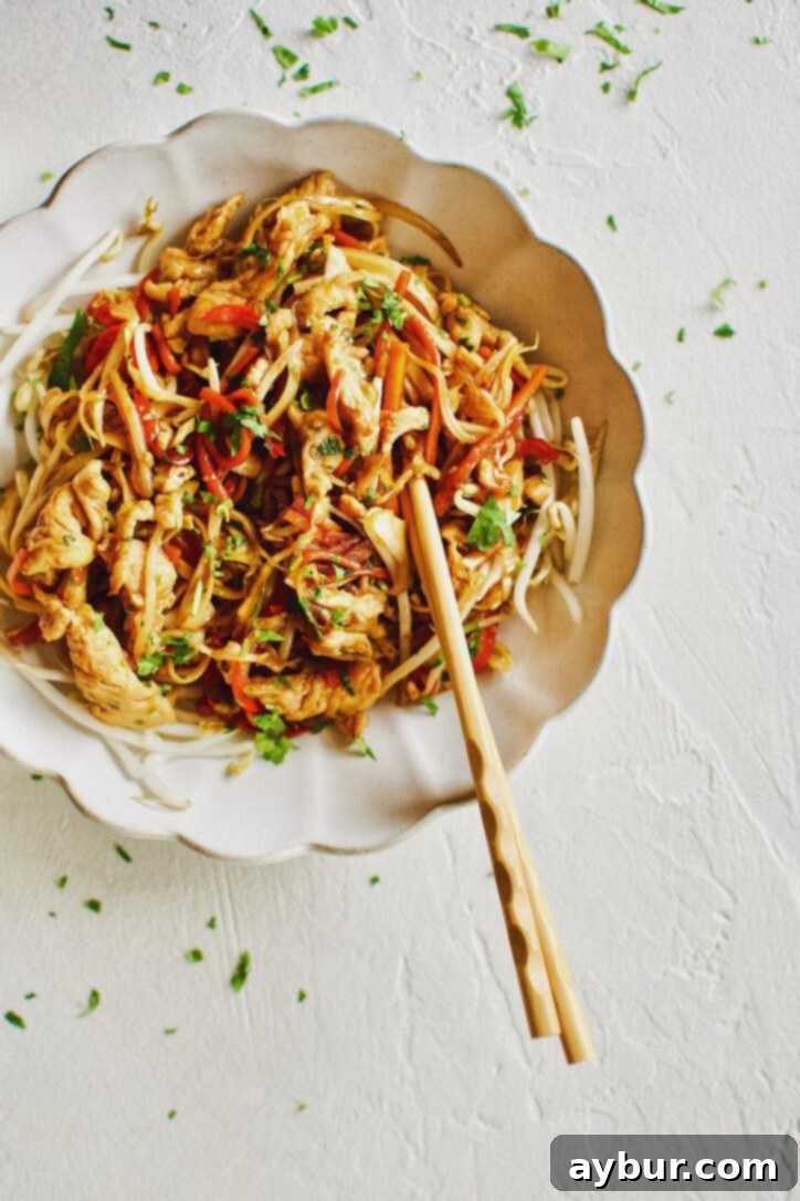 Easy Homemade Lo Mein Just Like Takeout 10 Easy Homemade Lo Mein Chicken Take-out at Home.