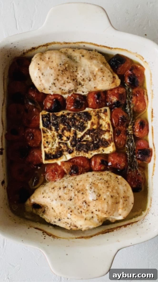 Easy Baked Feta Pasta with Chicken 5 Baked Feta Pasta with Chicken nestled into a baking dish. After baking.