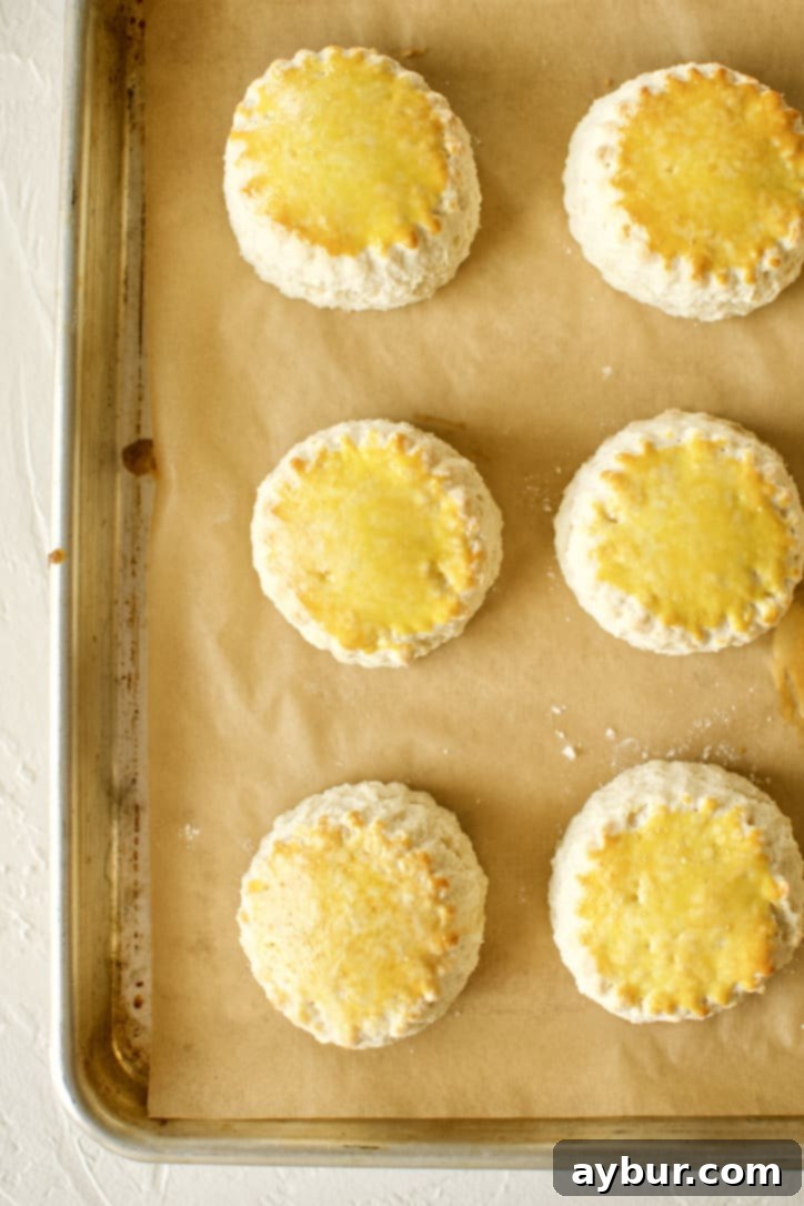 Scones cut with a fluted cutter and lined up on a parchment-lined baking tray fresh from the oven.