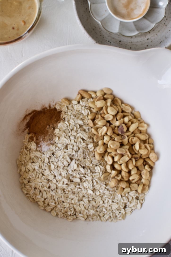 Ultimate Peanut Butter Granola Crunch 6 Dry ingredients for making Crunchy Peanut Butter Granola