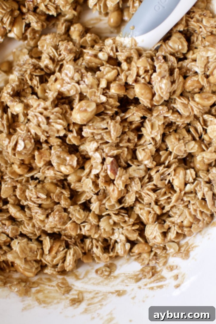 Ultimate Peanut Butter Granola Crunch 9 Crunchy Peanut Butter Granola ingredients mixed together in a bowl.