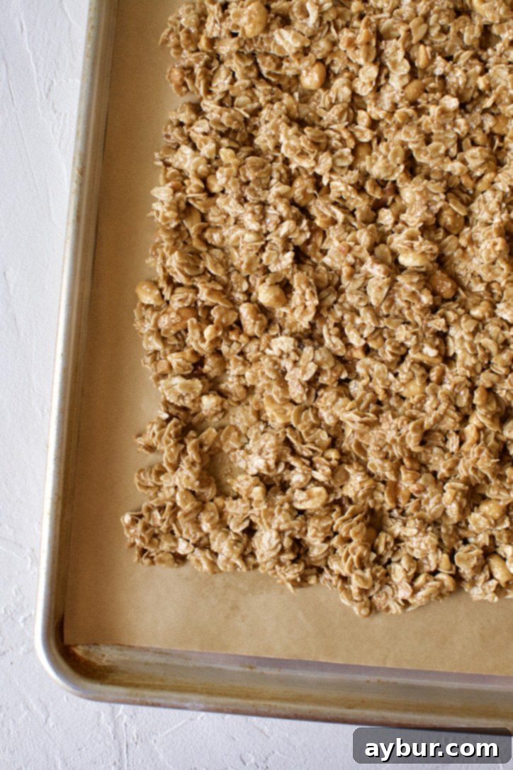 Ultimate Peanut Butter Granola Crunch 10 Crunchy Peanut Butter Granola fresh from the oven