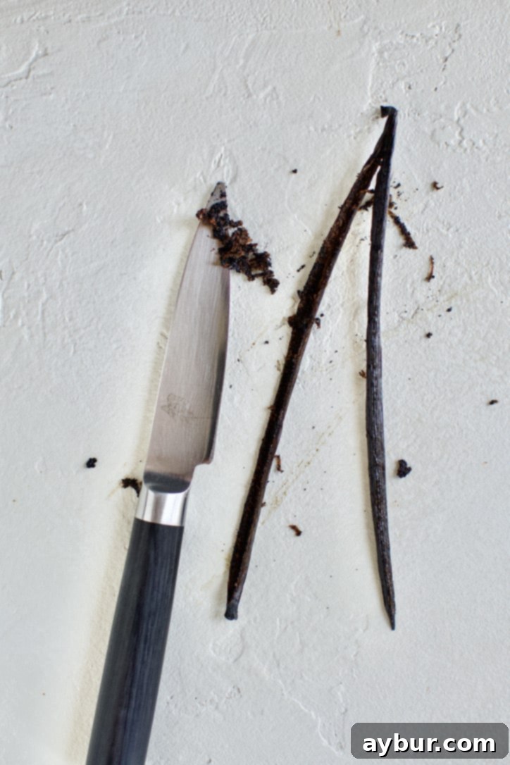 From Bean to Bottle: Homemade Vanilla Extract 6 Close-up of scraped vanilla bean seeds on the tip of a knife.