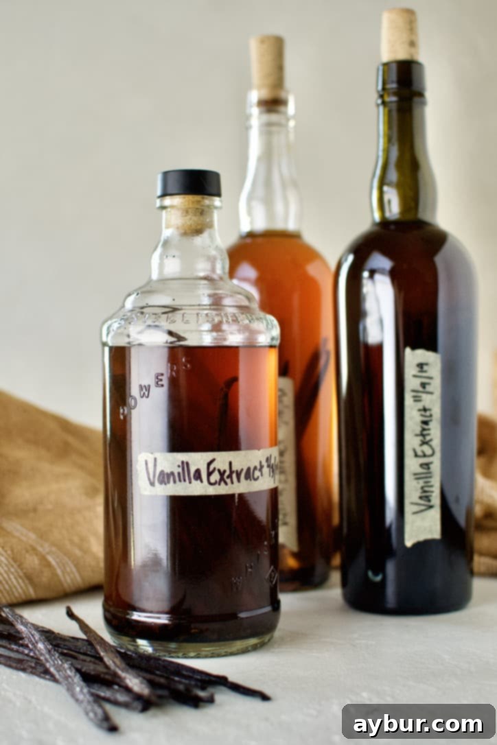 From Bean to Bottle: Homemade Vanilla Extract 10 A bottle of rich, dark homemade vanilla extract, showcasing its deep color after proper aging.
