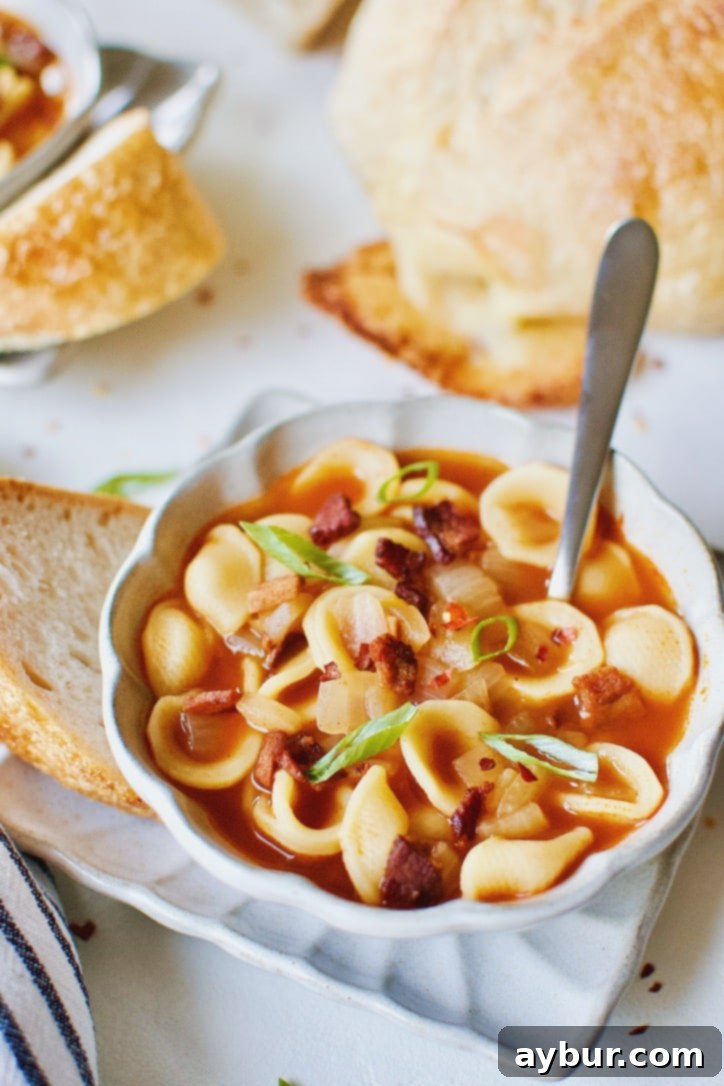 Tia's Sketti Soup (Spaghetti Soup)