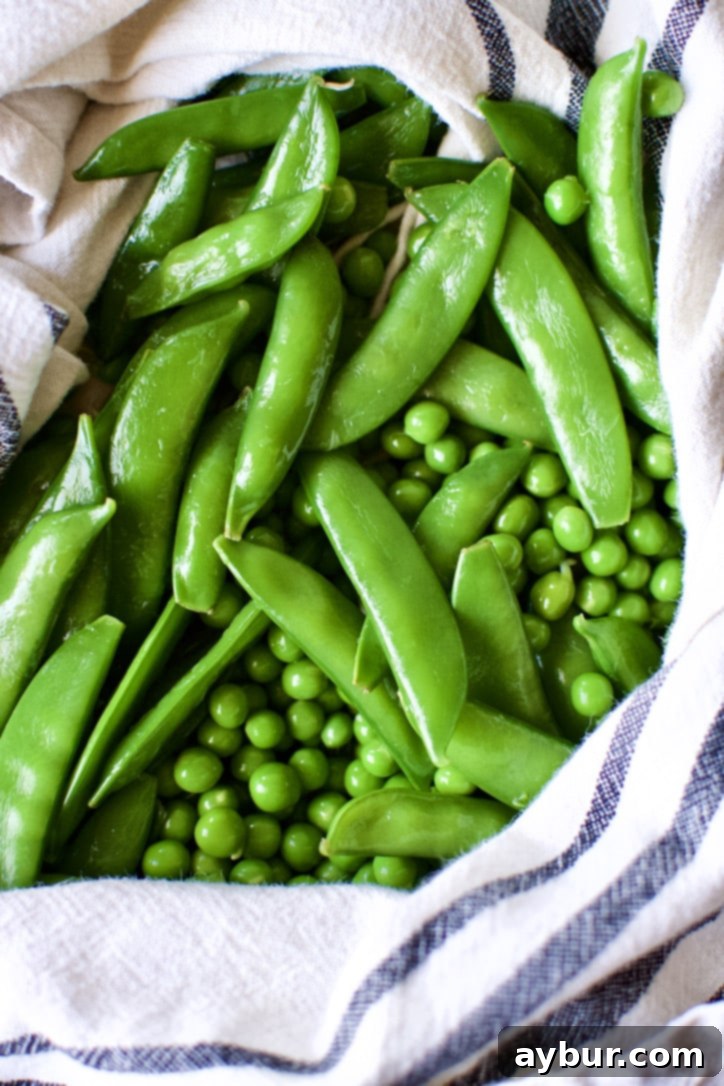 Drying blanched and shocked sugar snap and English peas on a kitchen towel.