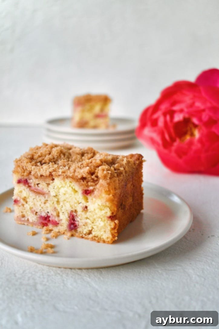 Raspberry Rhubarb Buckle ready to eat, sliced and served.