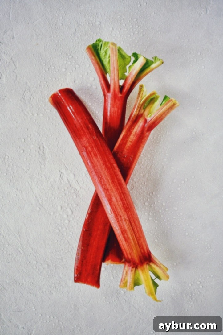 Raw Rhubarb, fresh from the garden, showing vibrant stalks.
