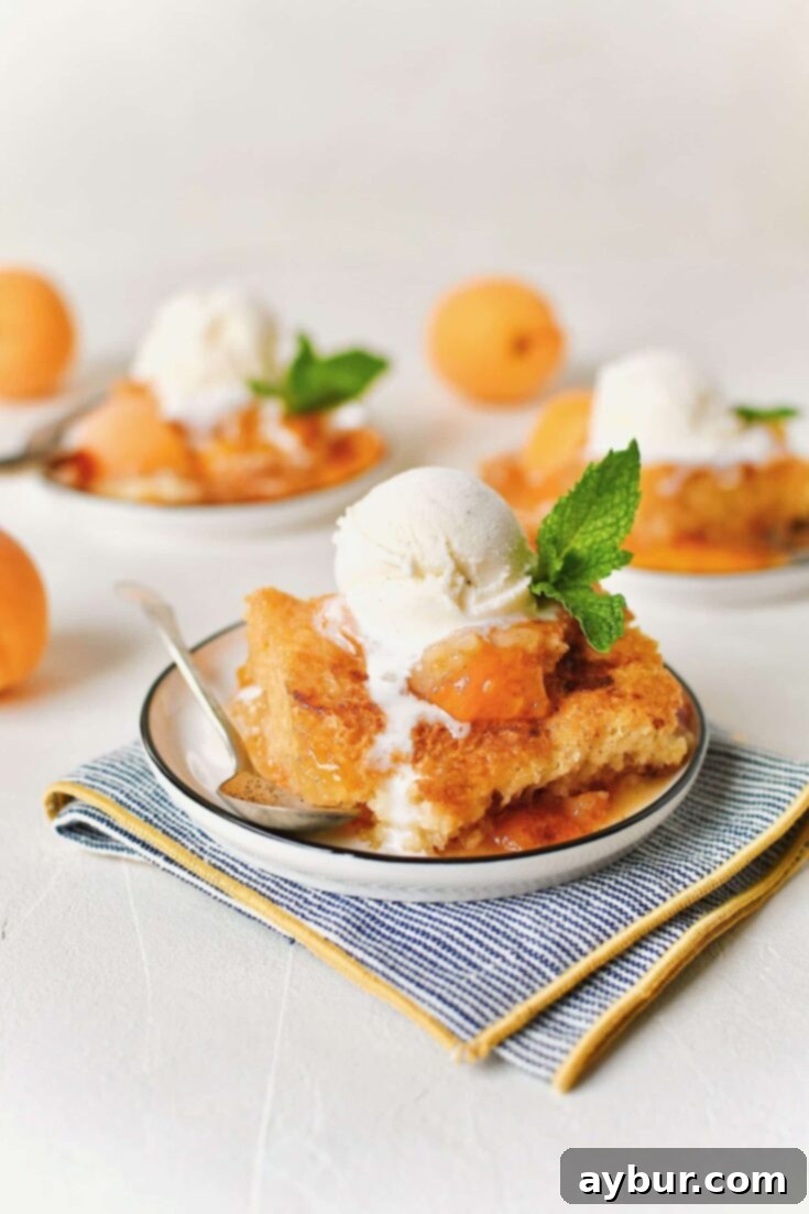 Delicious Apricot Cobbler served warm with vanilla ice cream, fresh apricot, and mint garnish.