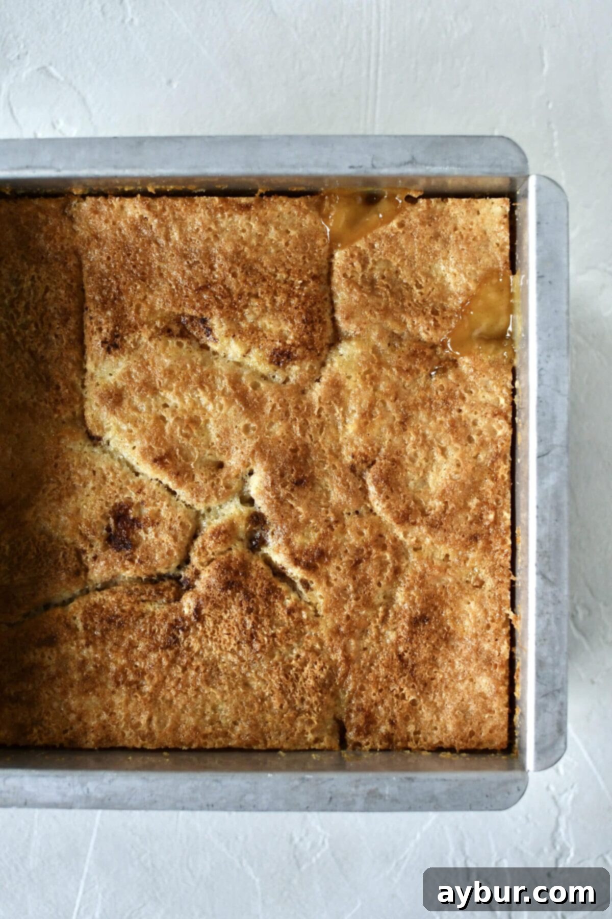 Golden Apricot Cobbler 10 Freshly baked apricot cobbler, golden brown and bubbling, just removed from the oven.