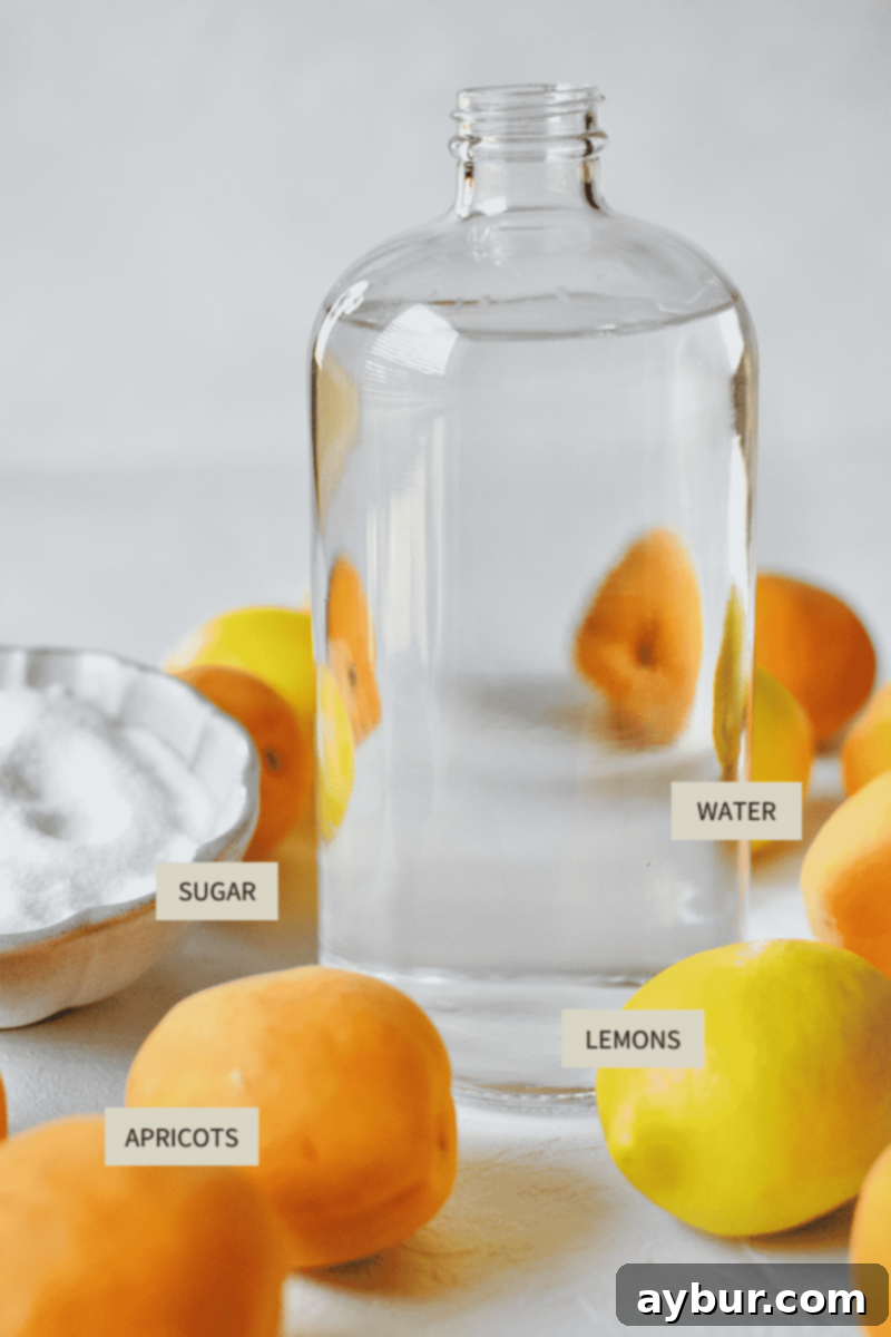 Ingredients laid out for making Homemade Apricot Nectar Juice: fresh apricots, whole lemons, a bowl of granulated sugar, and a glass of water.