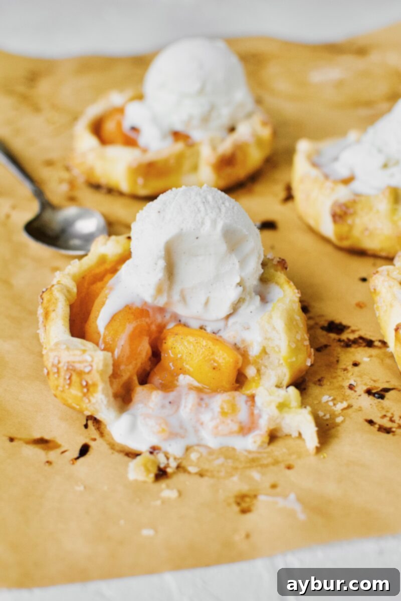 Apricot Tart 2 Apricot Pies fresh out of the oven, topped with vanilla ice cream.