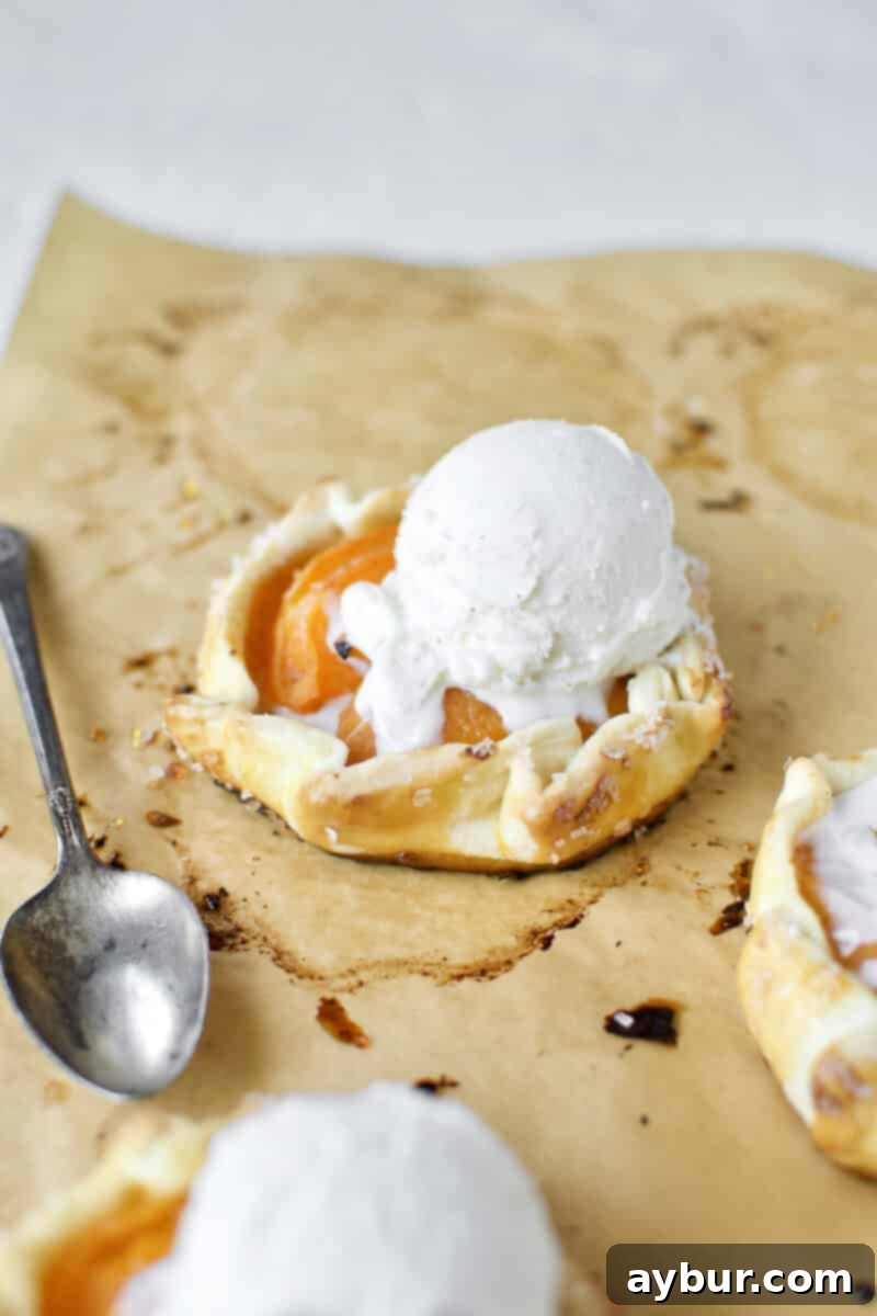 Apricot Tart 16 Apricot Pies fresh out of the oven, topped with vanilla ice cream.