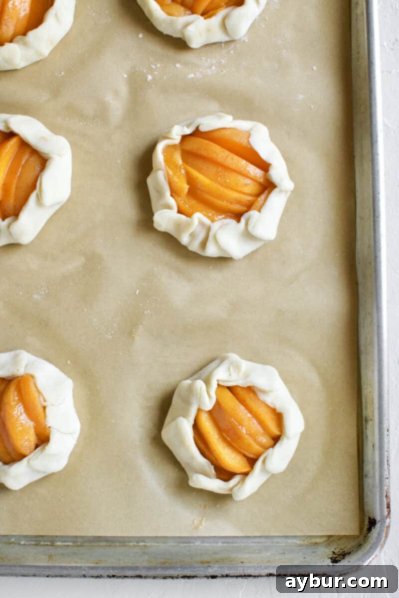 Apricot Tart 10 Fully formed Apricot Pie, mini pies with pie dough crimped around the outside of apricot slices.