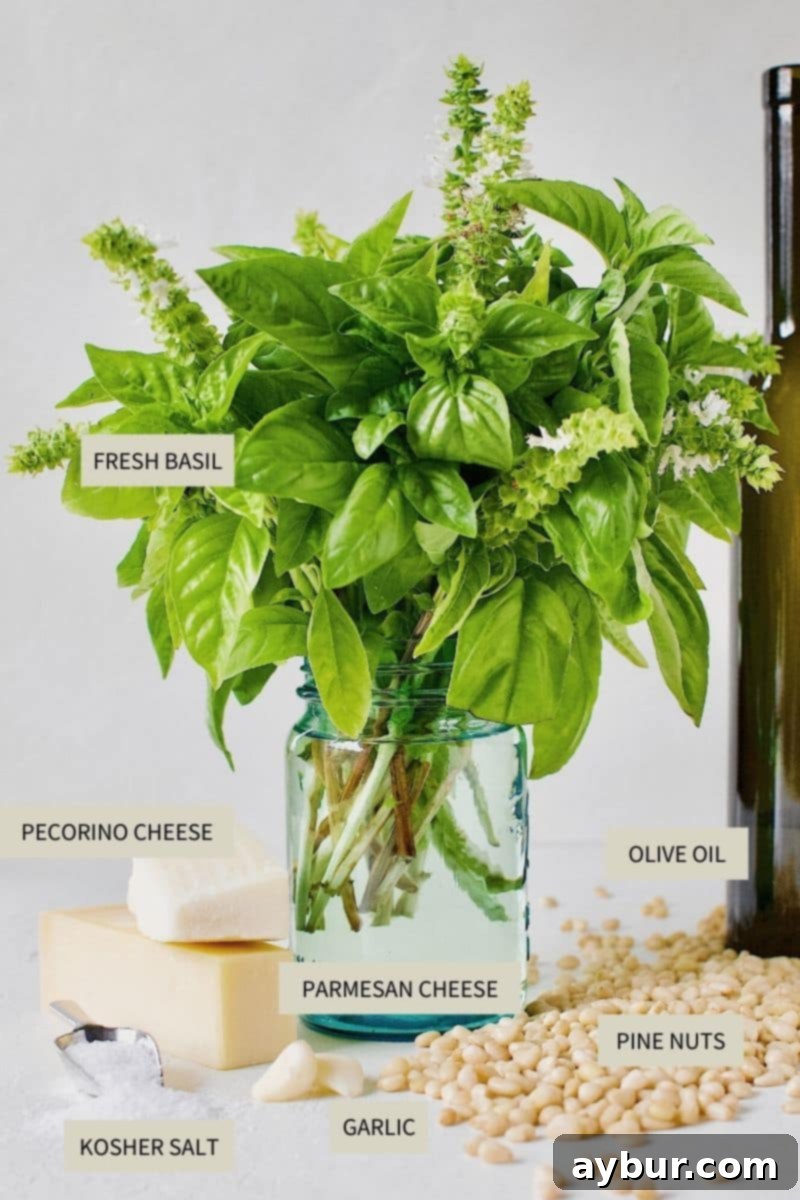 Ingredients needed to make Fresh Basil Pesto Sauce laid out on a wooden surface.