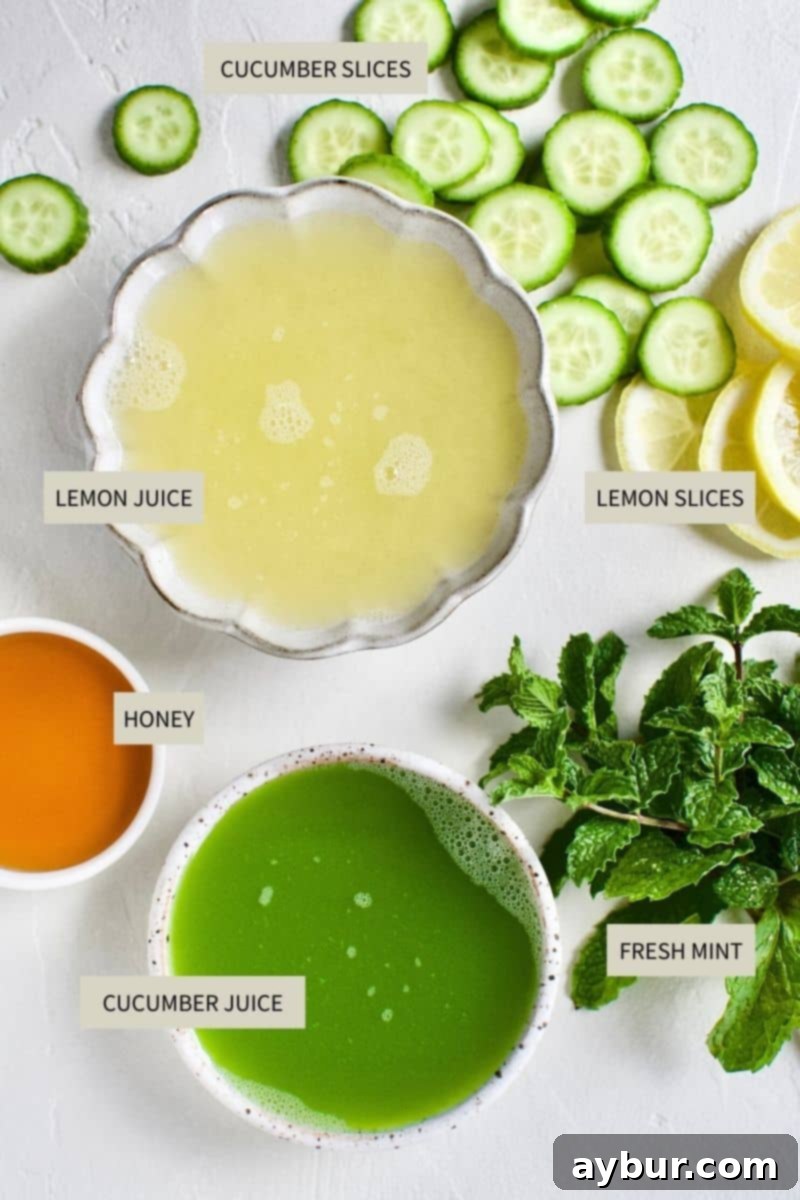 Crisp Cucumber Mint Lemonade 3 All the fresh ingredients meticulously laid out to prepare the vibrant Cucumber Mint Lemonade: whole cucumbers, lemons, a jar of honey, and fresh mint sprigs.
