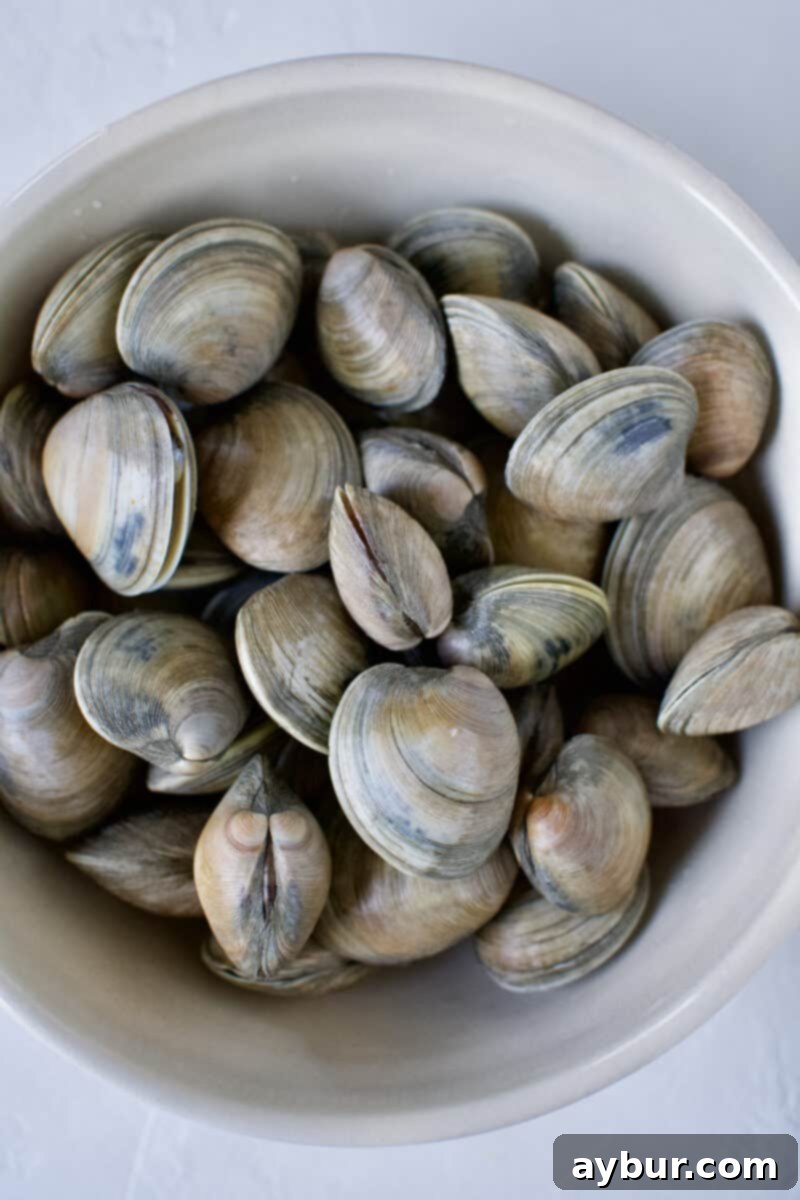 Linguine with Clams 6 A bowl filled with freshly cleaned littleneck clams, showcasing their pristine condition after the purging and rinsing process, ready for cooking.