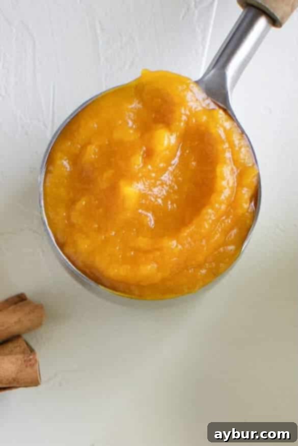 Pure pumpkin puree, the natural and authentic source of pumpkin flavor for the syrup.