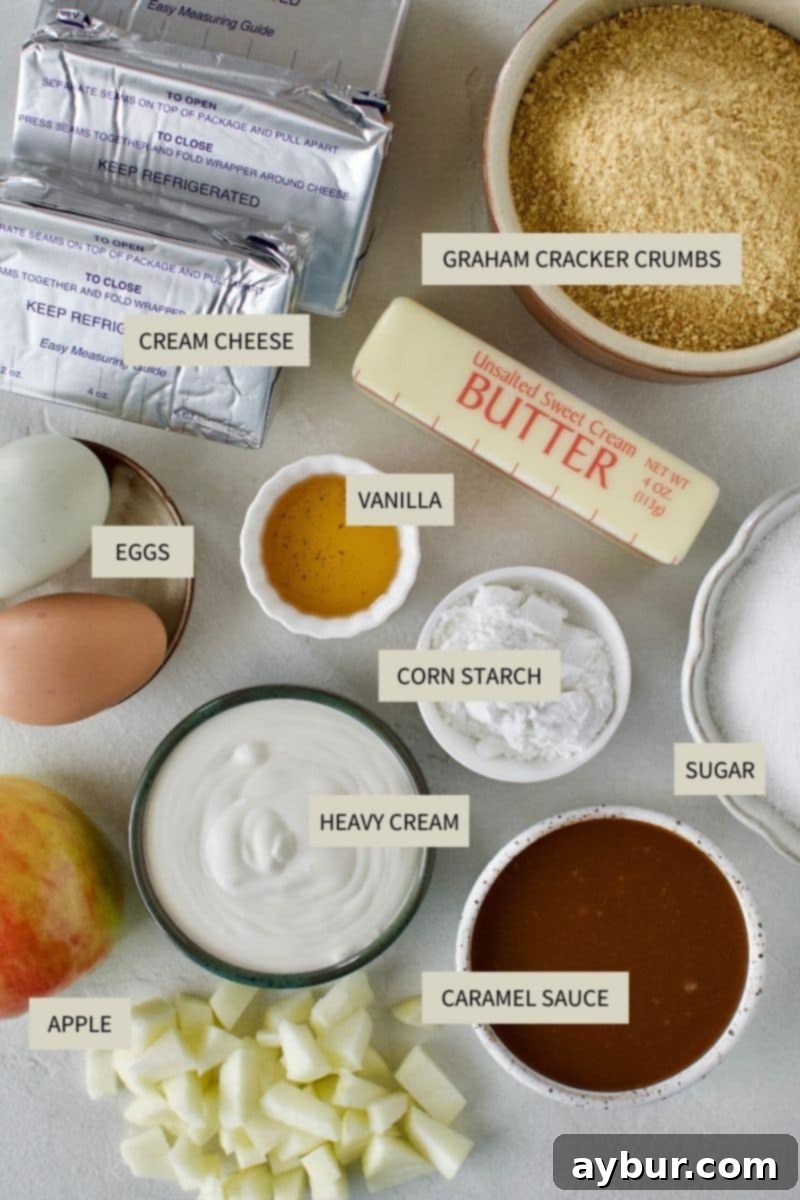 A well-arranged selection of ingredients including softened cream cheese, granulated sugar, eggs, vanilla extract, and caramel sauce, essential for the smooth cheesecake batter.