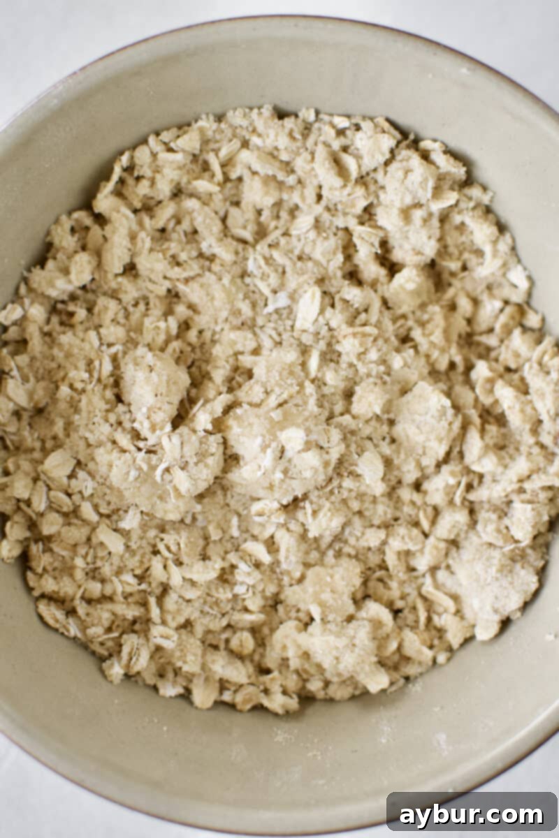 Perfectly prepared shaggy crumble topping, chilled and exhibiting a coarse, crumbly texture, ready to be added to the cheesecake.