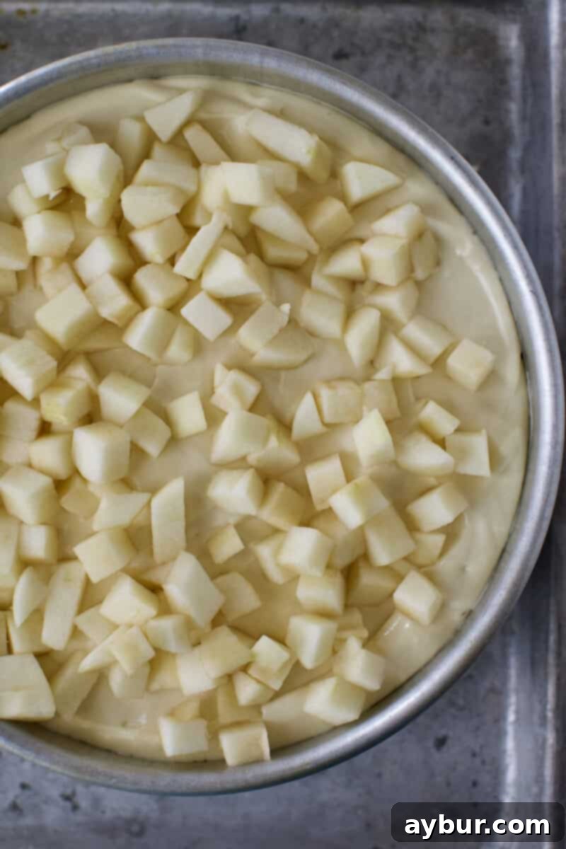 Freshly diced apple pieces, uniformly scattered on top of the cheesecake batter, awaiting the crisp topping.