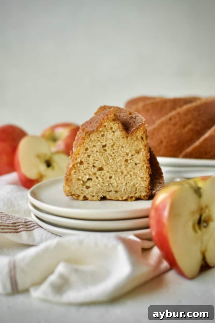 Harvest Apple Cider Donut Cake 13 Another beautiful slice of the Apple Cider Donut Cake, perfectly presented and ready to be savored.