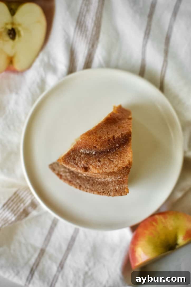 Harvest Apple Cider Donut Cake 16 A final, enticing slice of Apple Cider Donut Cake, demonstrating its perfect crumb and inviting texture.