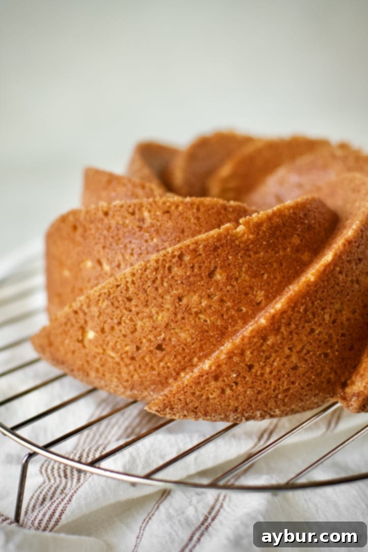 Harvest Apple Cider Donut Cake 9 A perfectly baked Apple Cider Donut Cake, freshly unmolded from its bundt pan and cooling gently on a wire rack.