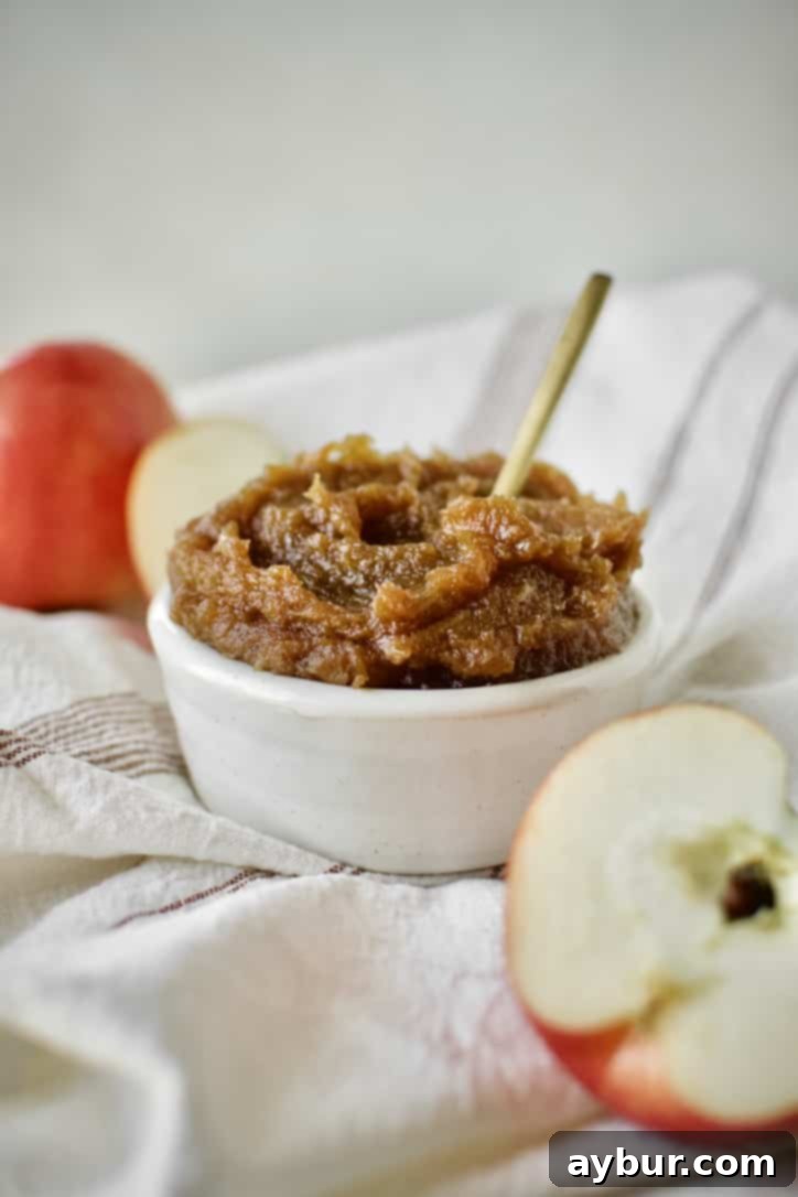 Finished Apple Butter in a dish with a gold spoon in it, showcasing its rich, dark color and smooth texture.