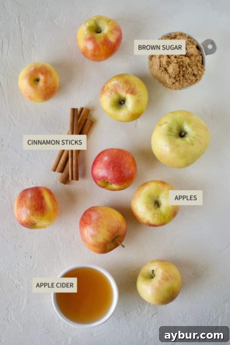 Ingredients needed to make Homemade Apple Butter, including fresh apples, brown sugar, cinnamon sticks, and apple cider.